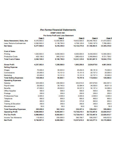 pro-forma-financial-statement-template