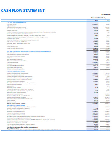 professional cash flow statement