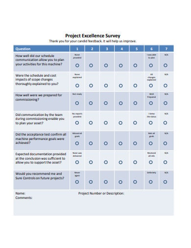 project excellence survey