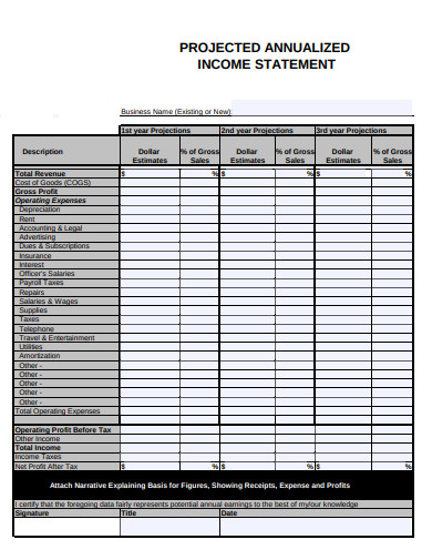 Sample Project Income Statement