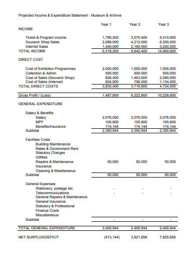 projected-income-expenditure-statement-template