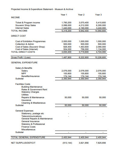 projected income expenditure statement template