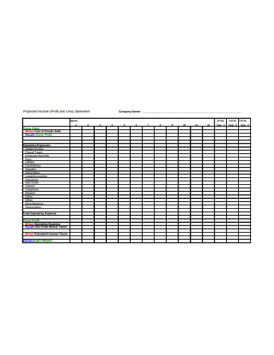 projected income profit and loss statement template