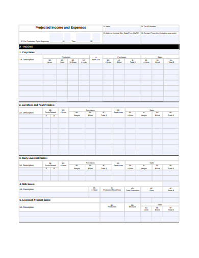 projected income and expenses statement template