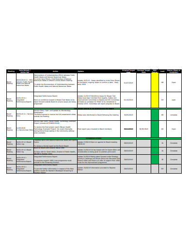 public health board action log template