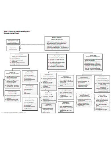 real-estate-assets-development-organizational-chart