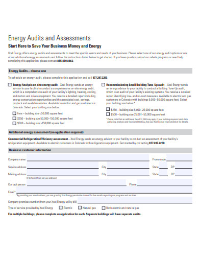 sample audit assessment