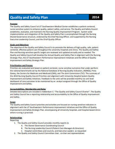 3+ Nursing Quality Plan Templates in PDF