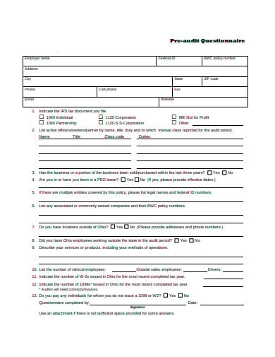 sample-pre-audit-questionnaire-in-pdf