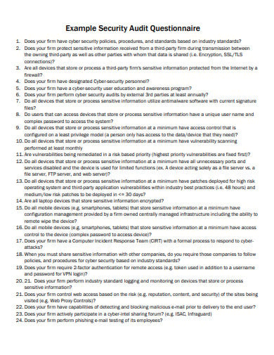 security audit questionnaire example