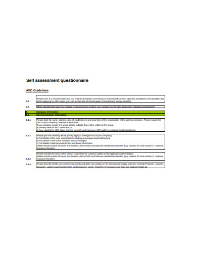 self assessment questionnaire format