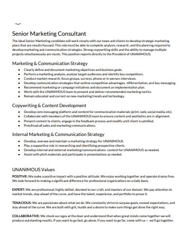 senior-marketing-comsultant