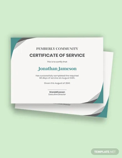 17+ Service Certificate Templates - Illustrator, InDesign, MS Word ...