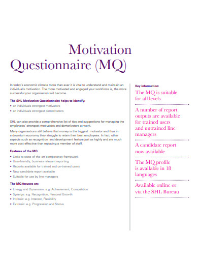 17+ Free Motivation Questionnaire Templates in PDF | Microsoft Word ...