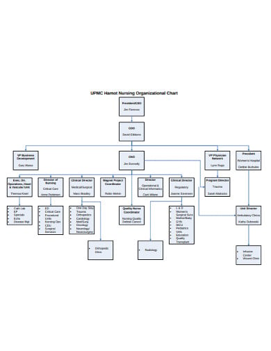 simple-nursing-organizational-chart