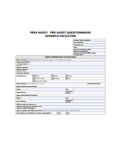 simple-pre-audit-questionnaire-example