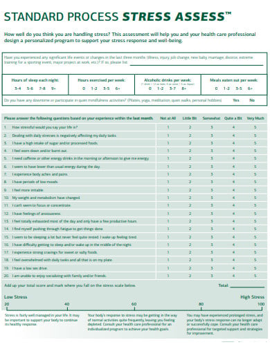 standard stress assessment questionnaire template