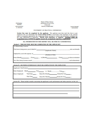 20+ Statement of Experience Templates in PDF | DOC