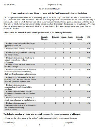 10+ Student Intern Survey Templates in PDF | DOC | Free & Premium Templates