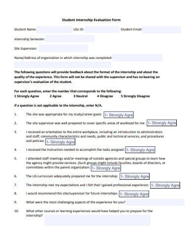 student internship evaluation form example