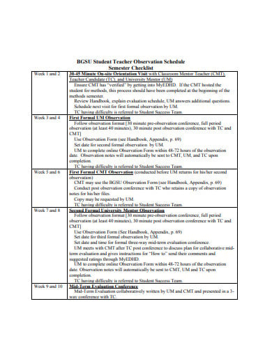 student teacher observation checklist in pdf