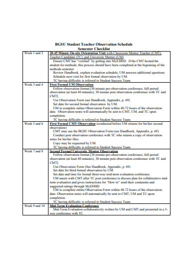 12-teacher-observation-checklist-templates-in-pdf-ms-word