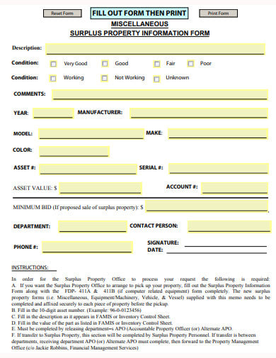 surplus property information form template