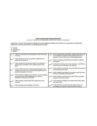 team assessment questionnaire example