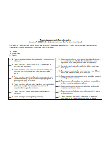 team assessment questionnaire in doc