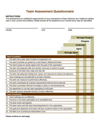 team assessment questionnaire in pdf