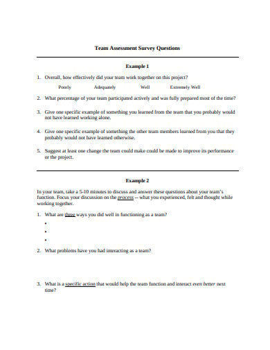 team assessment survey questionnaire template