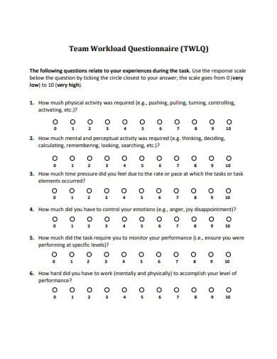 team assessment workload questionnaire example