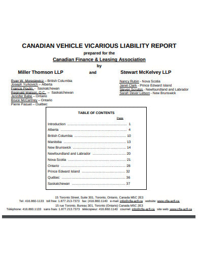 vehicle-liability-report