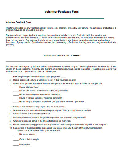 volunteer feedback form template
