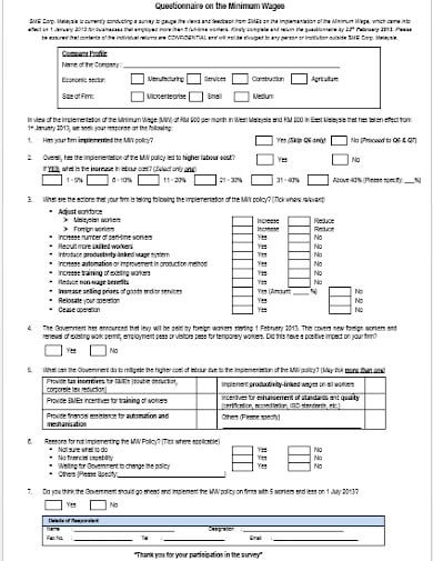 wages questionnaire template in pdf