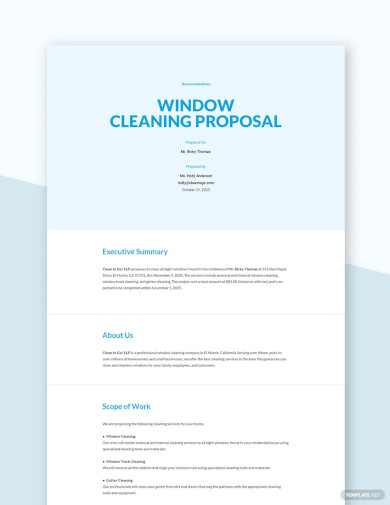 window cleaning business plan template