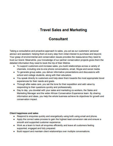 marketing consultant business plan pdf