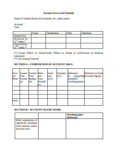 account-audited-entity-lead-schedule-template