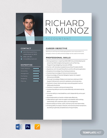 30+ Accountant Resume Templates in PDF