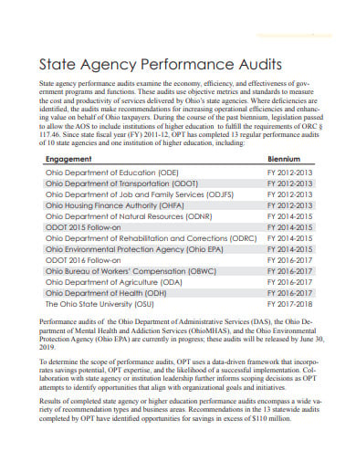 agency-performance-audits