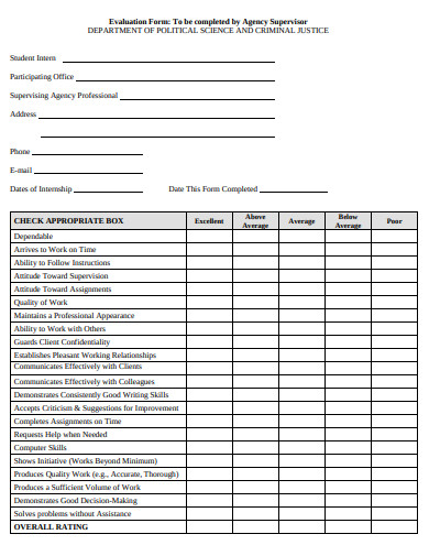 10+ Agency Evaluation Form Templates in PDF | DOC