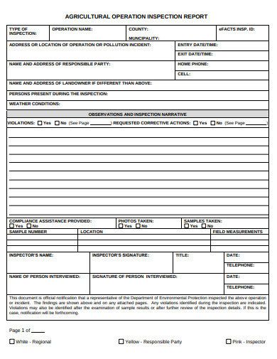 11+ Inspection Report Form Templates in DOC | PDF