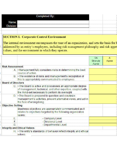 assessment experience questionnaire template in xls