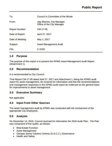 asset-management-audit-public-report