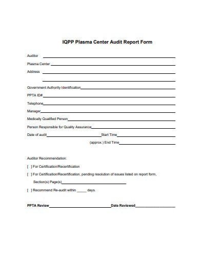 audit-report-form-template-in-pdf