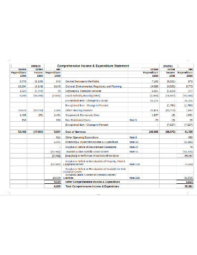 basic income and expenditure statement