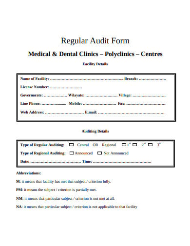 basic-medical-record-audit-form