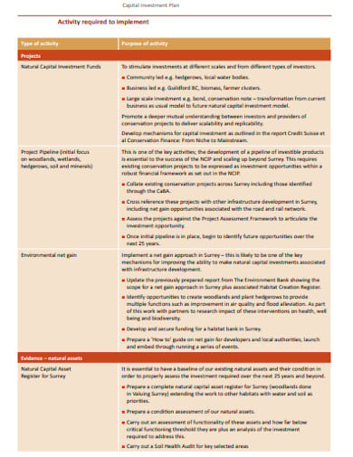 business capital investment plan template