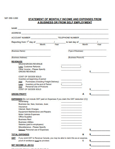 7+ Monthly Income and Expense Statement Templates in PDF | DOC