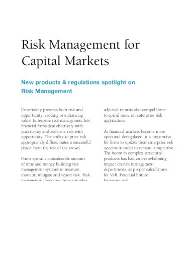 capital market risk management template